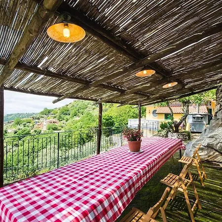 Turtle * 马萨鲁布朗斯