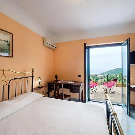 Turtle 马萨鲁布朗斯