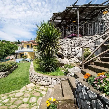 Turtle 马萨鲁布朗斯