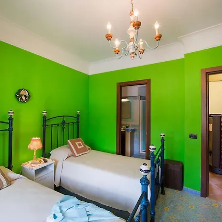 Turtle 马萨鲁布朗斯