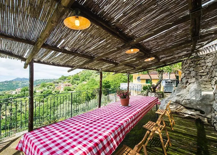 Turtle * Масса-Лубренсе